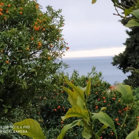 Daire La Promenade A Menton